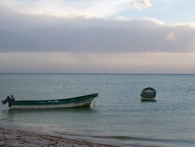 Licencia de pesca marítima: lo que debes saber