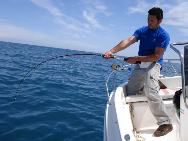 Criterios técnicos para elegir una caña de jigging para barco