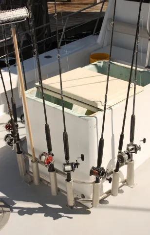 Análisis detallado de los modelos destacados