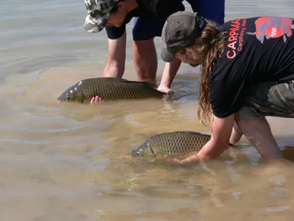 Tipos de neveras portátiles para pesca