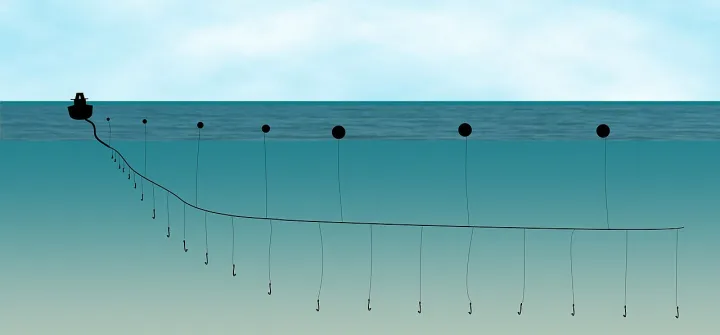 Técnicas de pesca del barbo