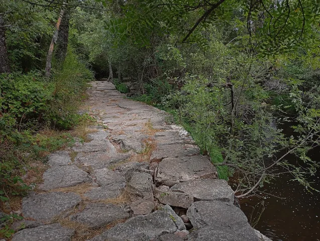 Dónde y cuándo practicar la pesca con mosca en España