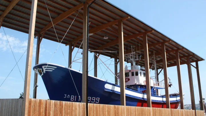 Donde Pescar Doradas en Espana