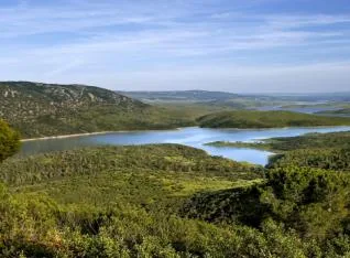 Pescar cijara: mejores épocas y condiciones