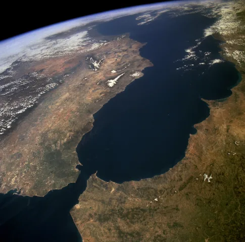 Especies objetivo y tallas mínimas legales
