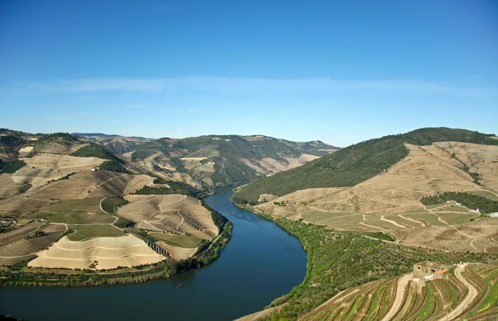 Especies principales del Duero y sus afluentes