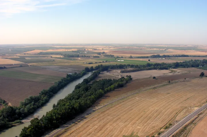 Especies destacadas: qué se pesca hoy en el Guadalquivir