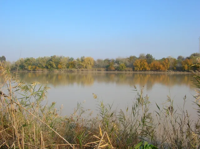 Consejos prácticos para una jornada en el Guadalquivir