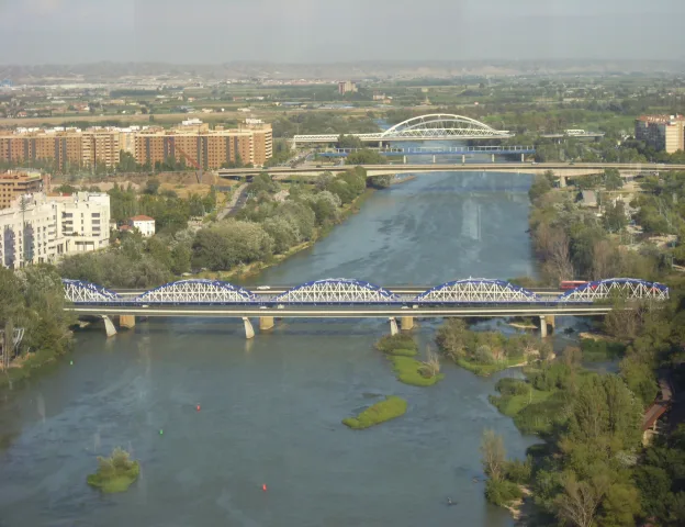 Especies de aguas frías y migratorias