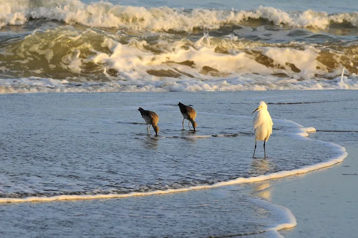 Experiencia pesca: los destinos que no te puedes perder