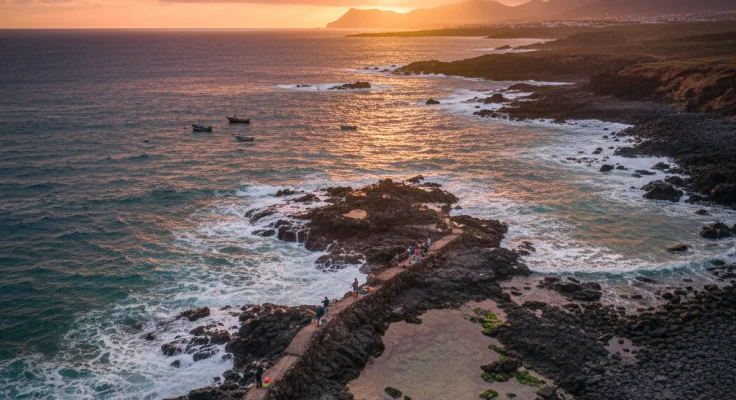 Pesca en Canarias: Especies Tropicales y Mejores Spots 2026