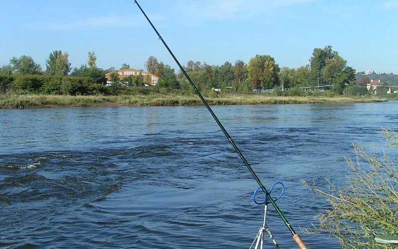Caña de feeder — Equipamiento