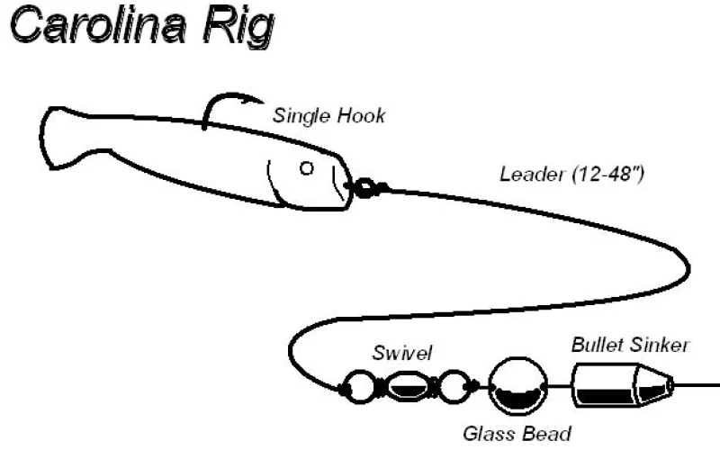 Carolina rig — Técnicas