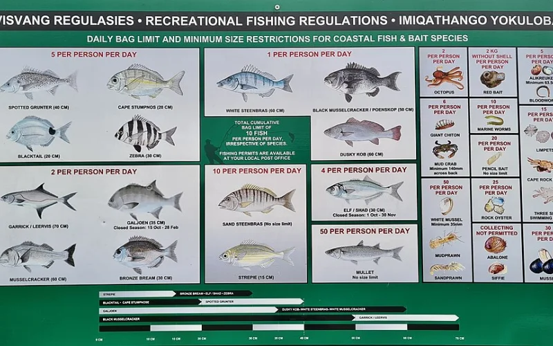 Cupo de capturas — Normativa