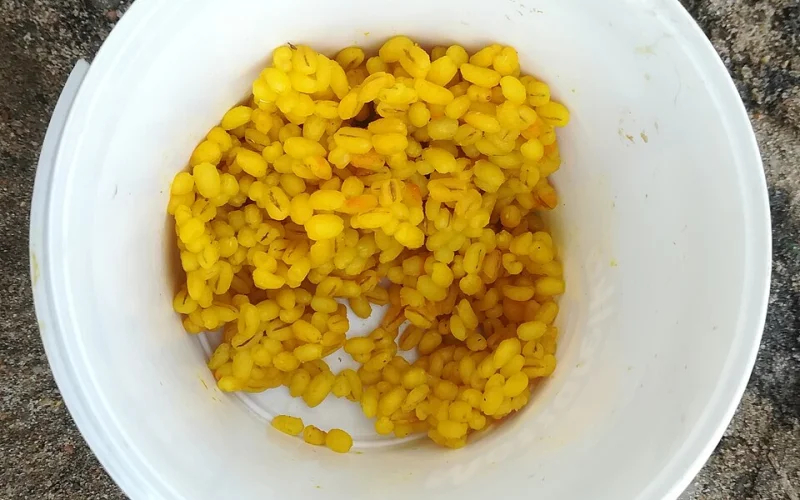 Engodo — Cebos y señuelos