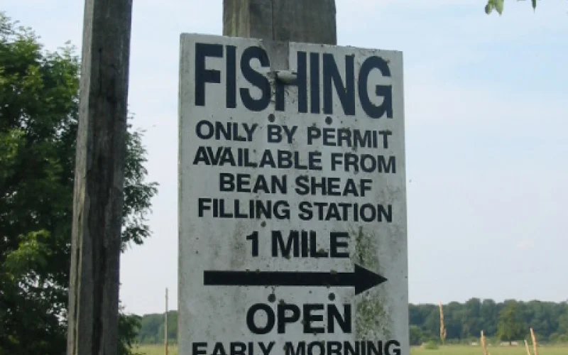 Licencia de pesca — Normativa