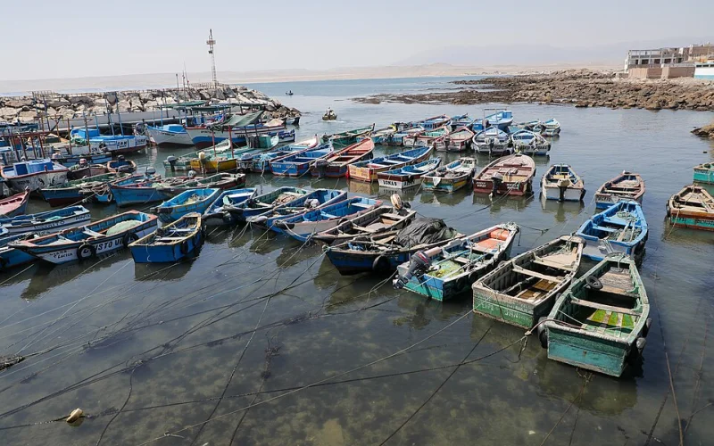 Veda de pesca — Normativa