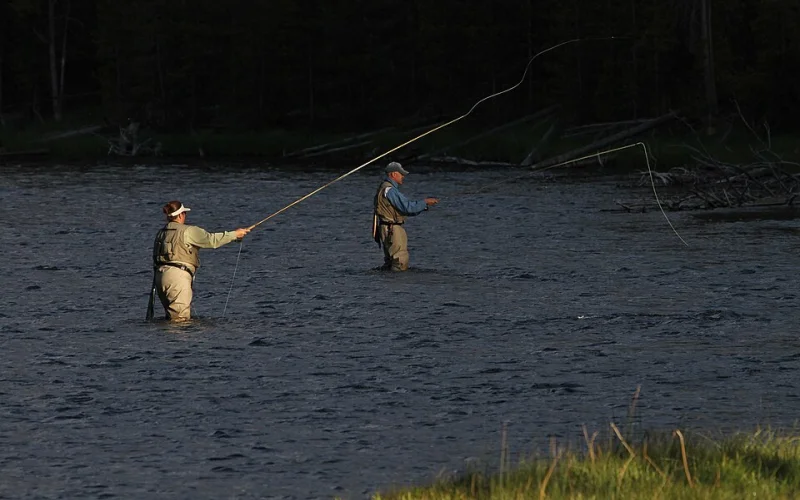 Waders — Equipamiento